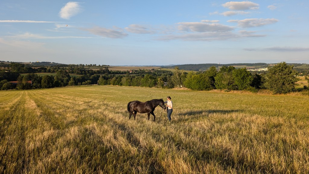 Ich möchte mich kurz vorstellen&nbsp;…